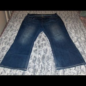 Maurices Flare Bootcut Jeans Size 20 Short